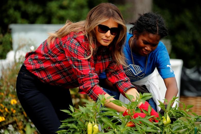 تصاویر | باغبانی همسر ترامپ در کاخ سفید